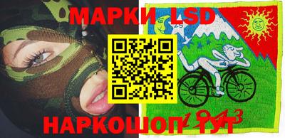 прущие грибы Гатчина