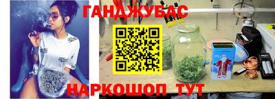 прущие грибы Гатчина