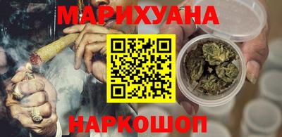 прущие грибы Гатчина
