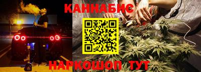 прущие грибы Гатчина