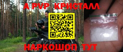 прущие грибы Гатчина
