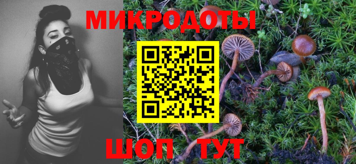 Партизанск  Галлюциногенные грибы ЛСД  Вход с VPN 